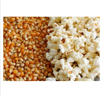 Picture of Pop Corn Bhutta-500gm