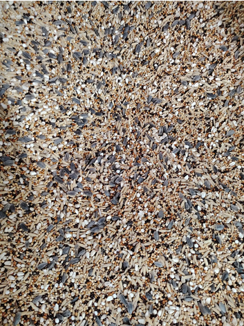 Picture of Bird Food Seed Mix for Cockatiel & Love Birds -- 1kg
