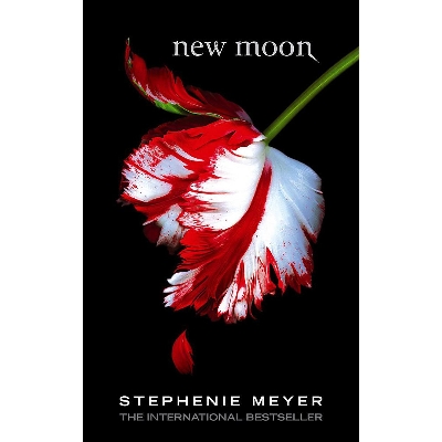 Picture of New Moon by Stephanie Meyer