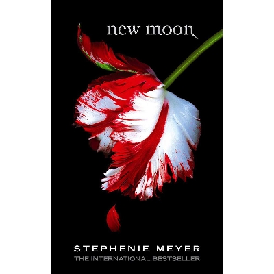 Picture of New Moon Paperback