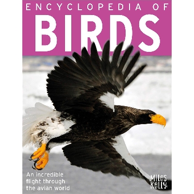 Picture of Encyclopedia of Birds