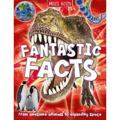 Picture of Fantastic Facts