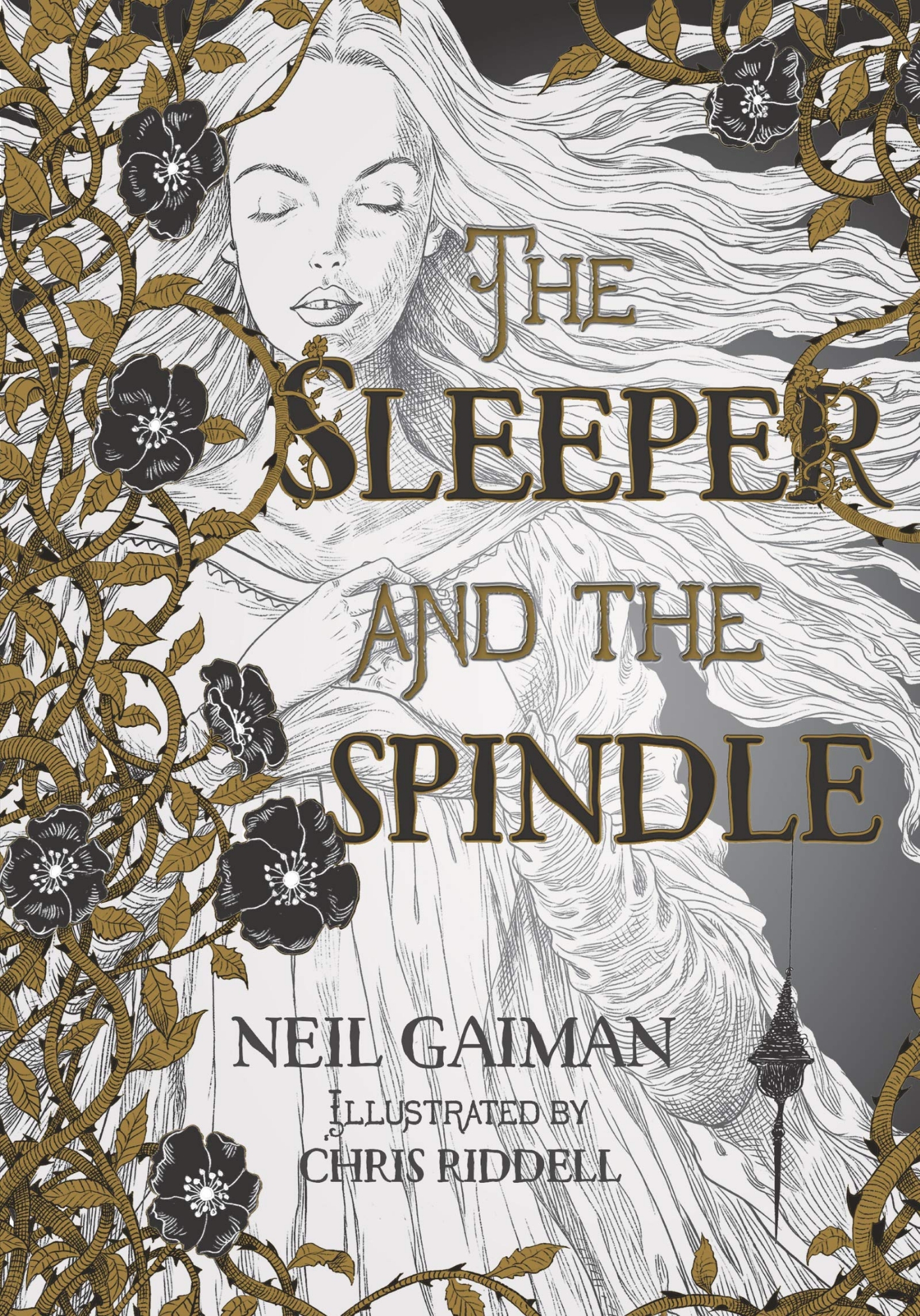 Picture of The Sleeper and the Spindle Paperback Illustrated