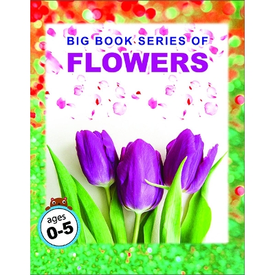 Picture of Big Book Series of Flowers (Paperback)