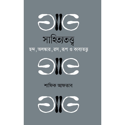 Picture of Literary Theory