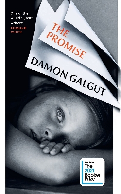 Picture of The Promise: SHORTLISTED FOR THE BOOKER PRIZE
