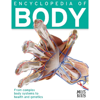 Picture of Encyclopedia of Body Paperback