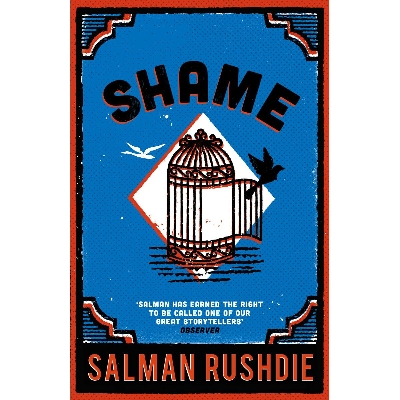 Picture of Shame Paperback