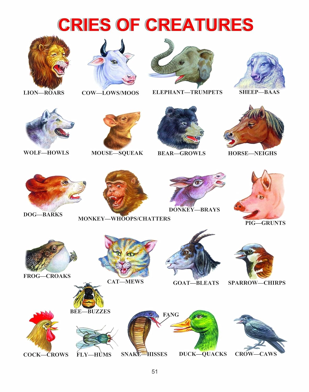 Picture of More Than 2500 Words With Pictures Paperback