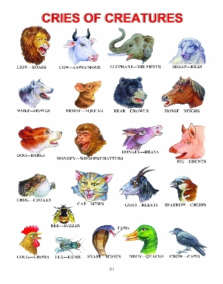 Picture of More Than 2500 Words With Pictures Paperback