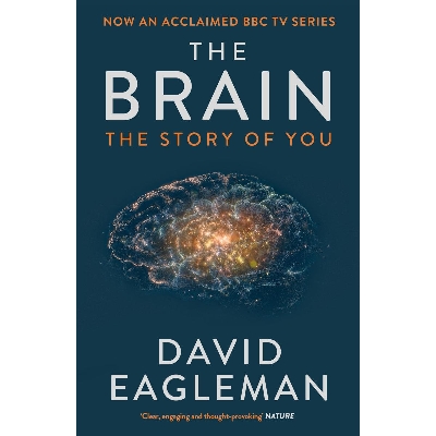 Picture of The Brain Paperback