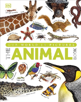 Picture of THE ANIMAL BOOK (Hardcover) Imported Book