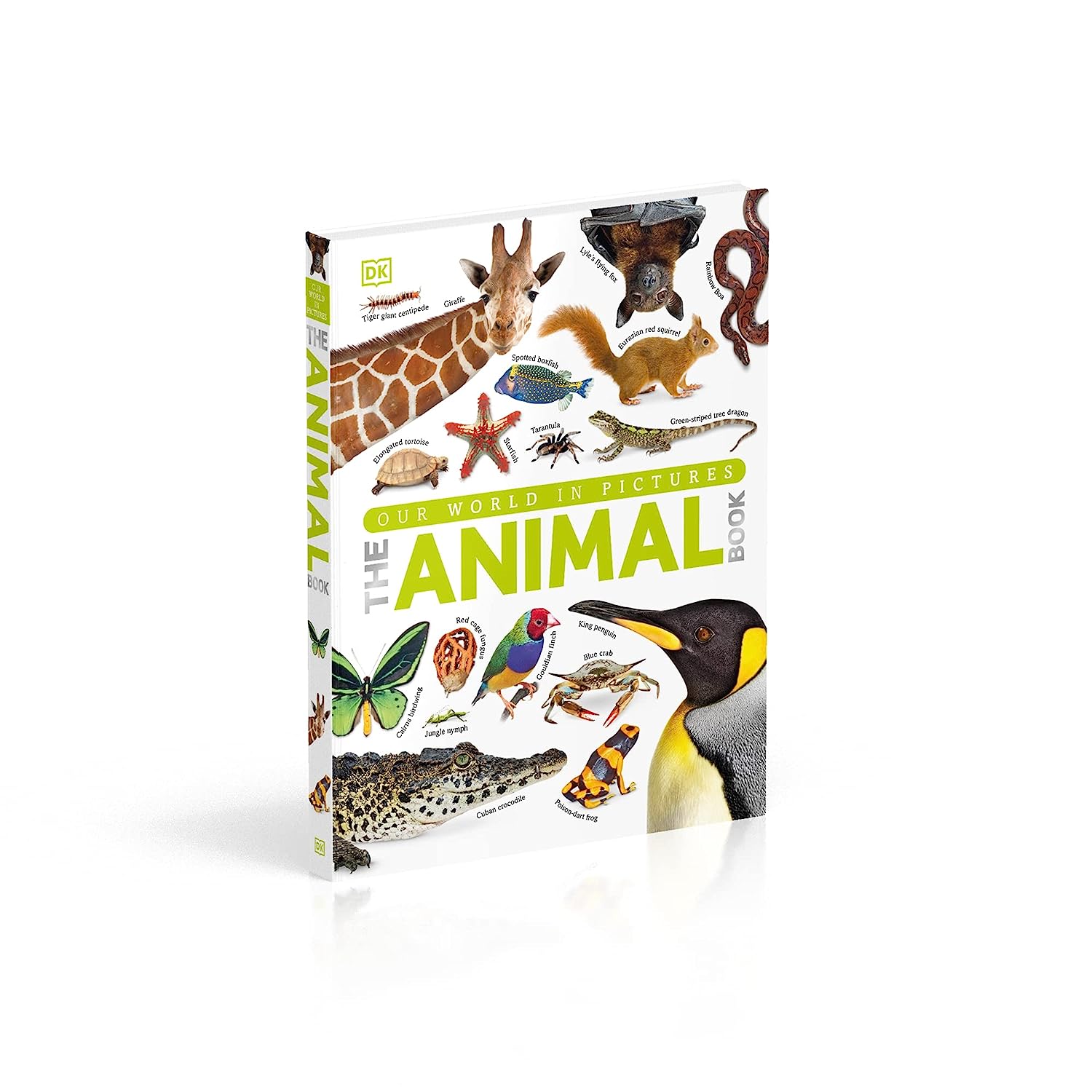 Picture of THE ANIMAL BOOK (Hardcover) Imported Book