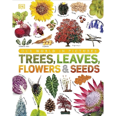 Picture of Our World in Pictures: Trees, Leaves, Flowers & Seeds (Hardcover)