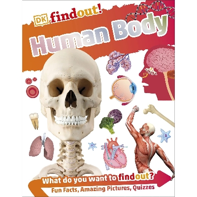 Picture of Human Body (Flexibound) Imported Book