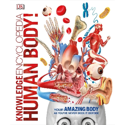 Picture of Knowledge Encyclopedia Human Body (Paperback)