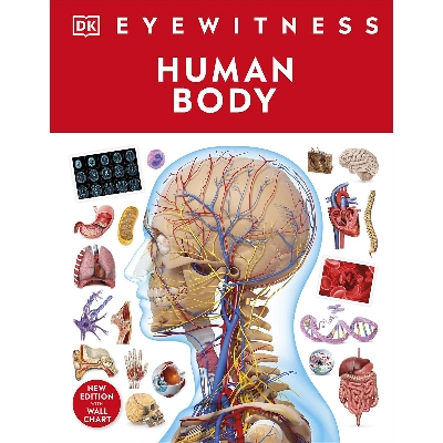 Picture of Human Body (Hardcover) Imported Book