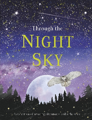 Picture of Through the Night Sky (Hardcover)