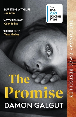 Picture of The Promise (Paperback)