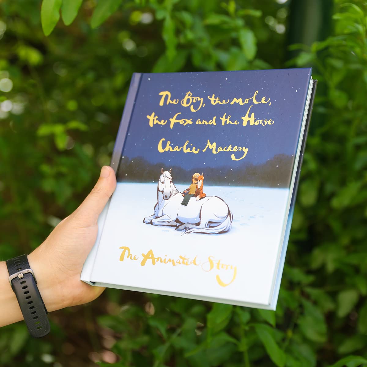 Picture of Boy, The Mole, The Fox and The Horse MTI Hardcover