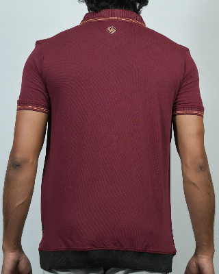 Picture of Shohure Coffee Color Polo Tshirt Coffee