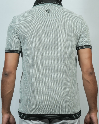 Picture of Shohure Olive Color Polo Tshirt Olive