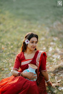 Picture of HalfSilk Nakshi Pair Saree