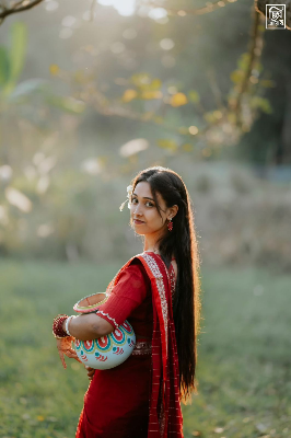 Picture of HalfSilk Nakshi Pair Saree