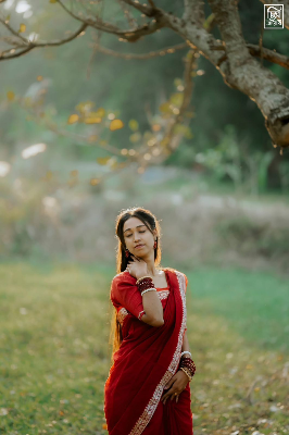 Picture of HalfSilk Nakshi Pair Saree