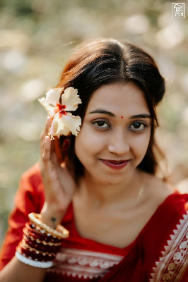 Picture of HalfSilk Nakshi Pair Saree