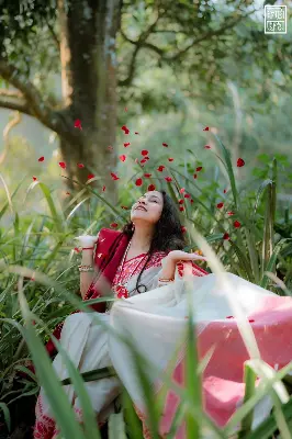 Picture of Falguni Special Half silk Saree