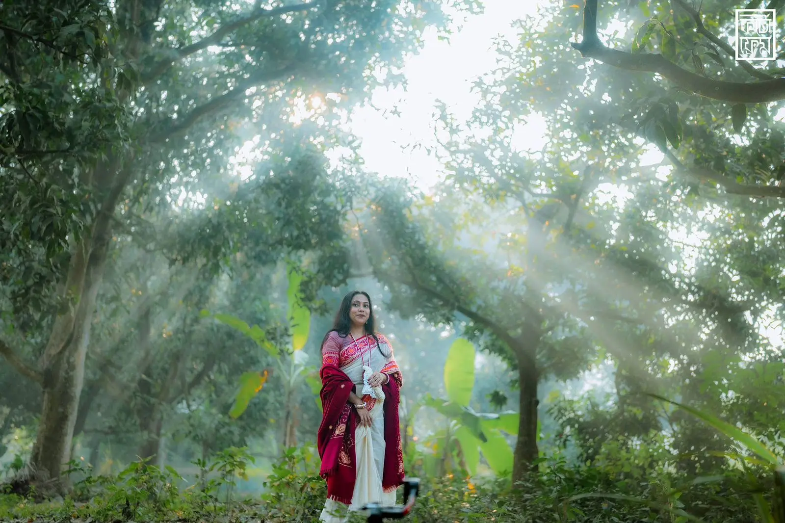 Picture of Falguni Special Half silk Saree