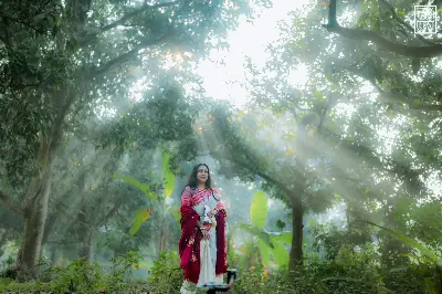 Picture of Falguni Special Half silk Saree