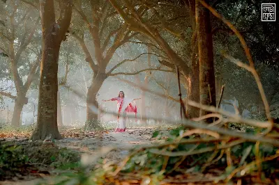 Picture of Falguni Special Half silk Saree