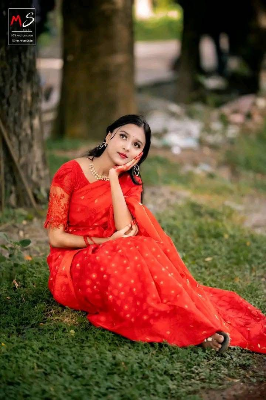 Picture of  Traditional Nakful Jamdani Saree