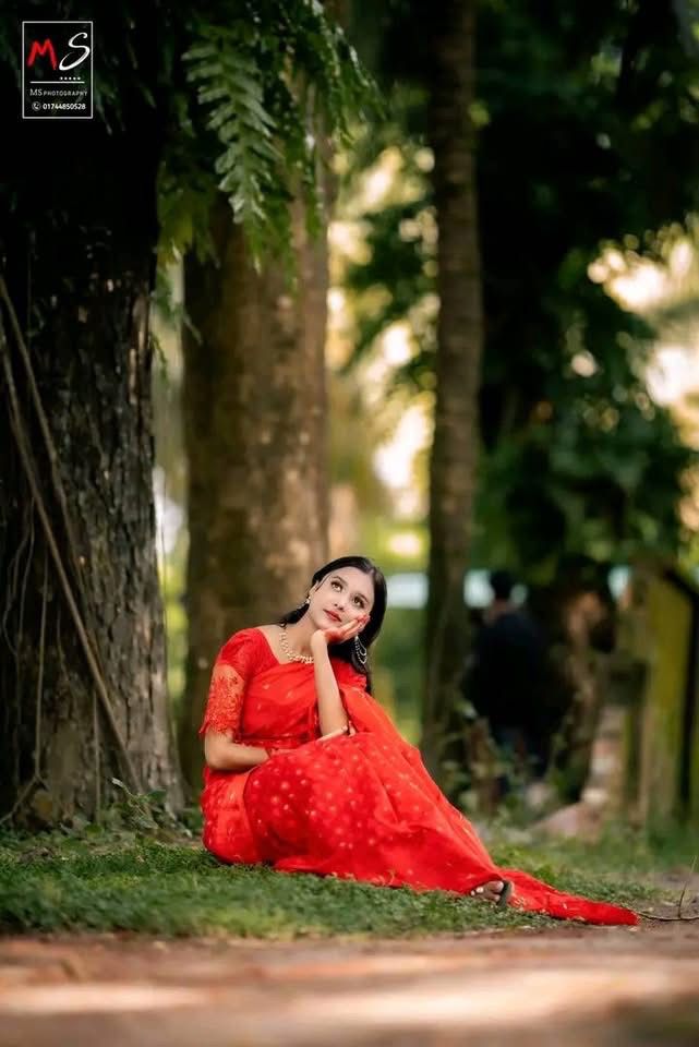 Picture of  Traditional Nakful Jamdani Saree