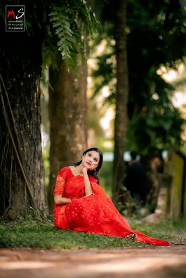 Picture of  Traditional Nakful Jamdani Saree