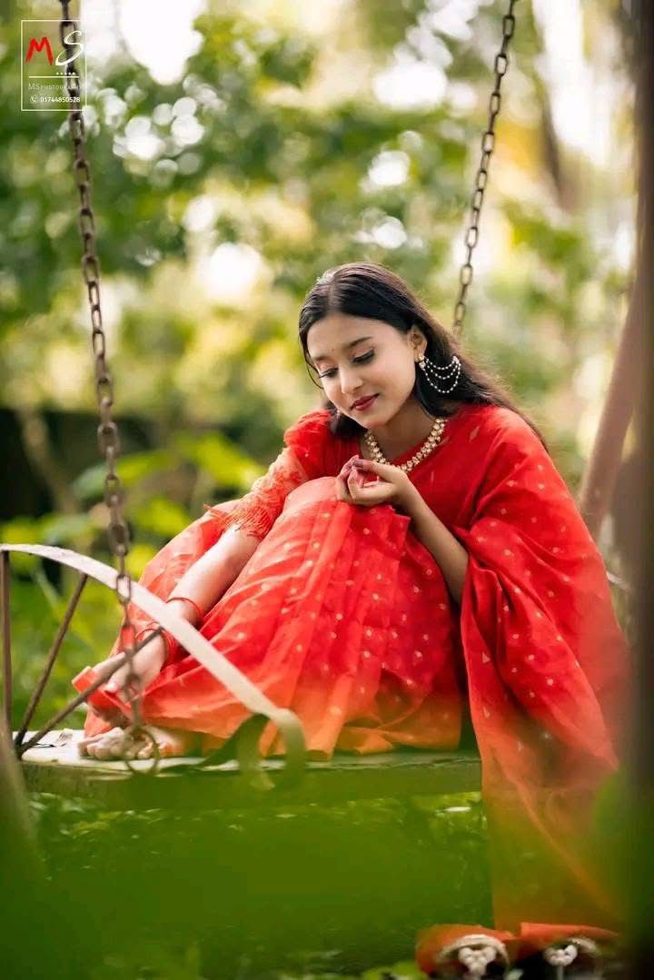 Picture of  Traditional Nakful Jamdani Saree