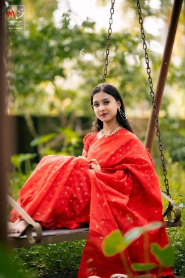 Picture of  Traditional Nakful Jamdani Saree