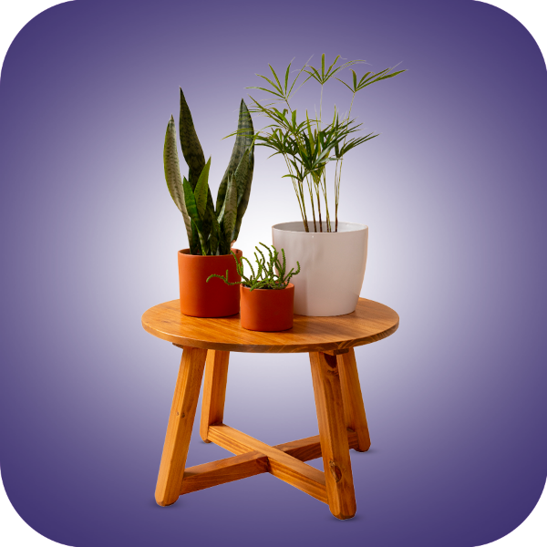 Picture for category Home Decor