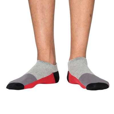 Picture of Premium Ankle Socks for Men  (Multi)
