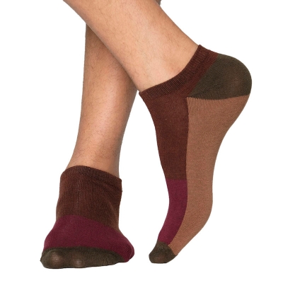 Picture of Premium Ankle Socks for Men  (Multi)