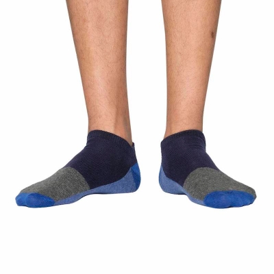 Picture of Premium Ankle Socks for Men  (Multi)