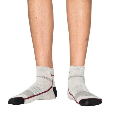 Picture of Premium Ankle Socks for Men  (Ash)