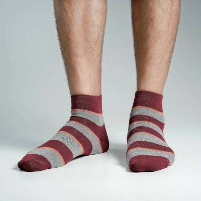 Picture of Premium Ankle Socks For Men  (Multi)