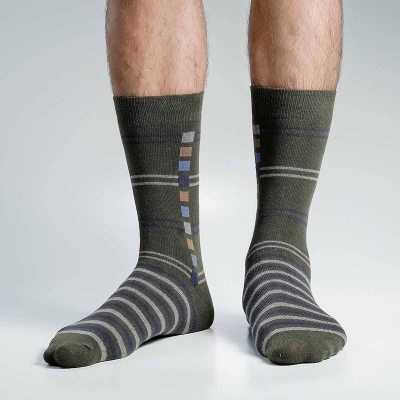 Picture of Swan Viara Long Socks For Men  (Olive)