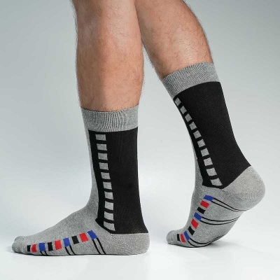 Picture of Swan Long Socks For Men  (Ash)