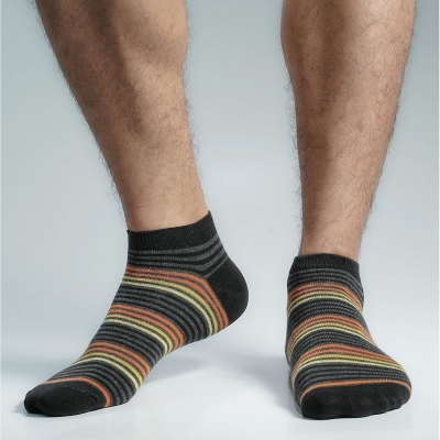 Picture of Premium Ankle Socks For Men  (Multi)