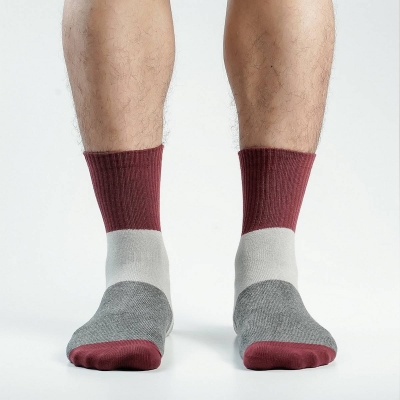 Picture of Premium Ankle Socks For Men  (Multi)