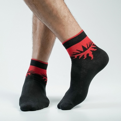 Picture of Pridezone Ankle Socks For Men  (Black)
